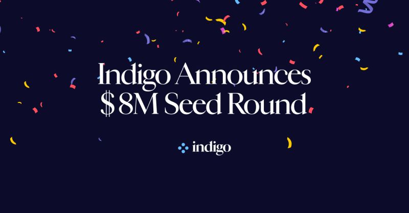 679954ab9479f390c91ccc04_Indigo208m